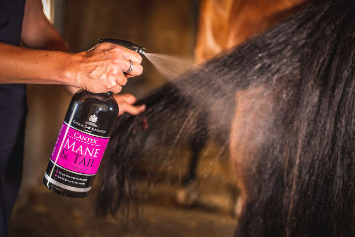 CARR & DAY & MARTIN Canter Mane & Tail Conditioner Spray